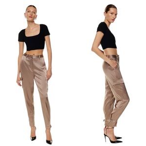 Aritzia Babaton Refined Satin Cargo Pant